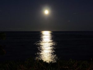Tiki Moon Villasで見る満月